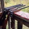 Clay Shooting